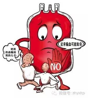 血液相连,献血基础知识大全