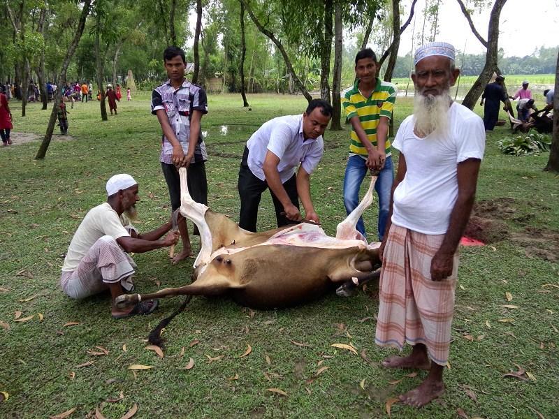 带你走进神秘中东,去孟加拉国旅游真实感受