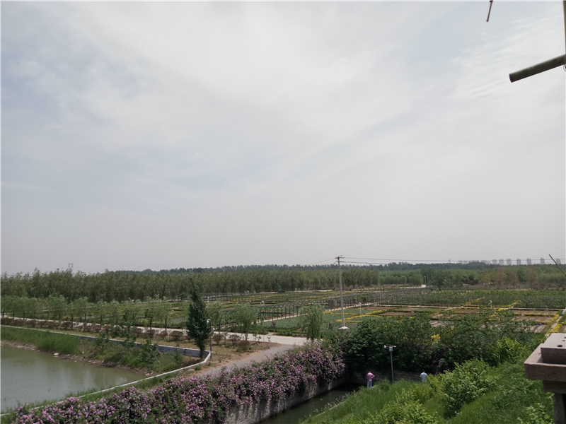 乐视乐2手机质量怎么样,乐视乐2骁龙版游戏性能测试