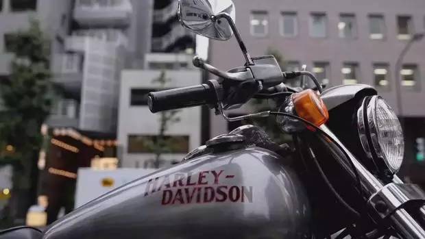 除了goros买什么牌子的羽毛,除了goros还有哪些银饰值得选