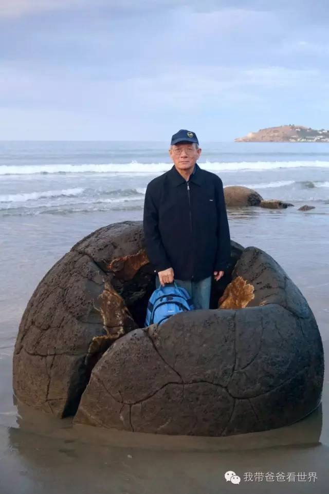 新西兰奇异圆石,摩拉基大圆石龟背形成原因