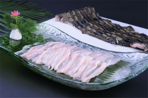 盘点鳄鱼的六大天敌都有哪个,盘点鳄鱼的十大天敌