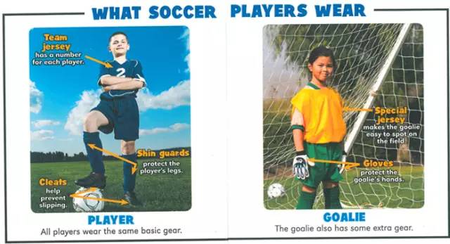 欧洲杯介绍英语视频讲解,欧洲杯外语