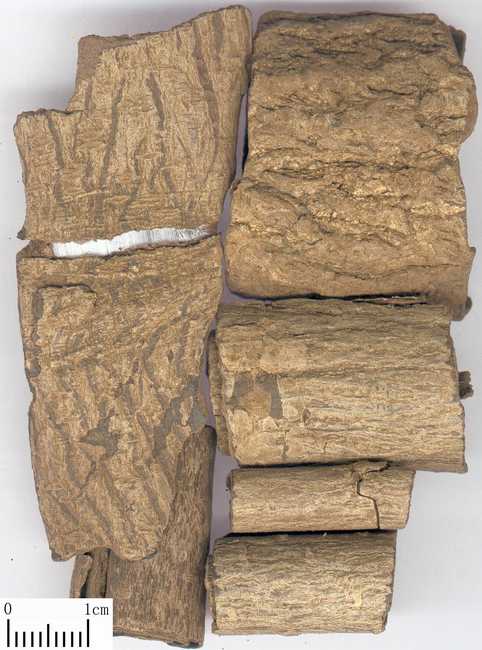 颈椎病引起肩膀酸痛的中药配方,颈椎引起头痛头晕可以吃中药吗