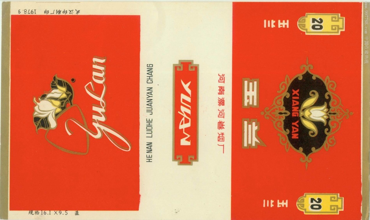 白金龙与阿诗玛,白金龙凤锦鲤生鱼宝宝