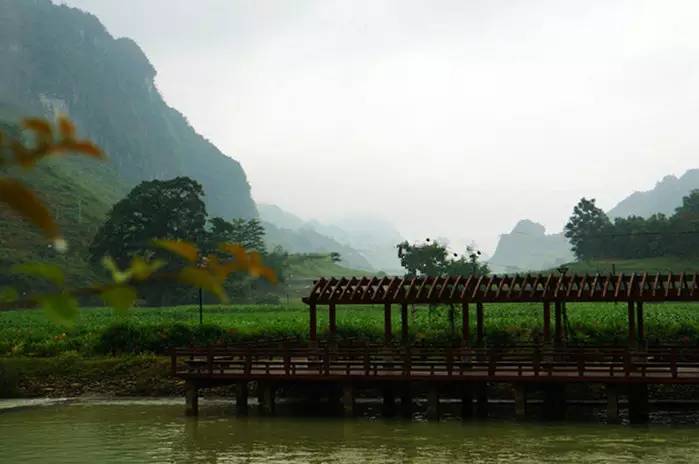 巴马世界旅居圣地,广西巴马长寿圣殿图片