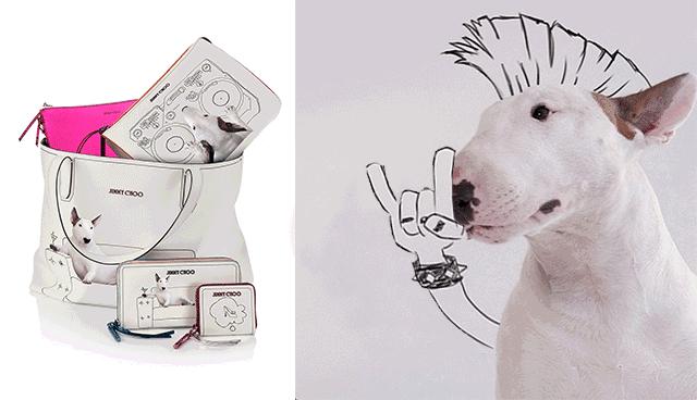 厉害的狗和狮子pk哪个更强,趣说动物小狗