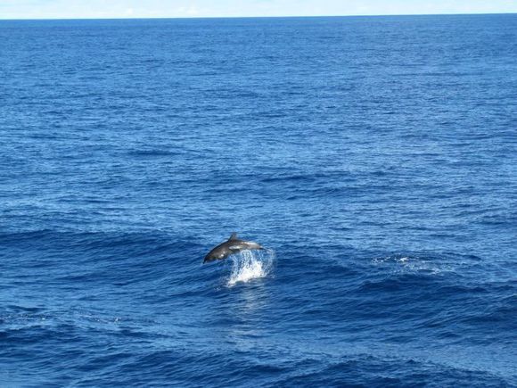 我是远洋渔民，爱钓鱼，更爱周游世界