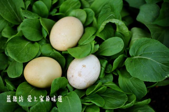 怎样制作咸鸭蛋又好吃又简单,怎样做咸鸭蛋才好吃又简单