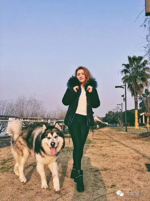 狗拉拉阿拉斯加,拉拉和阿拉斯加