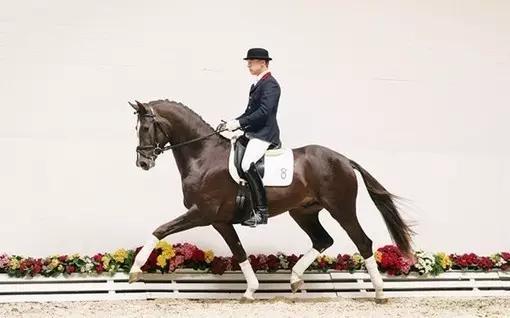 全球独一无二的车,全国独一无二的宝马轿车