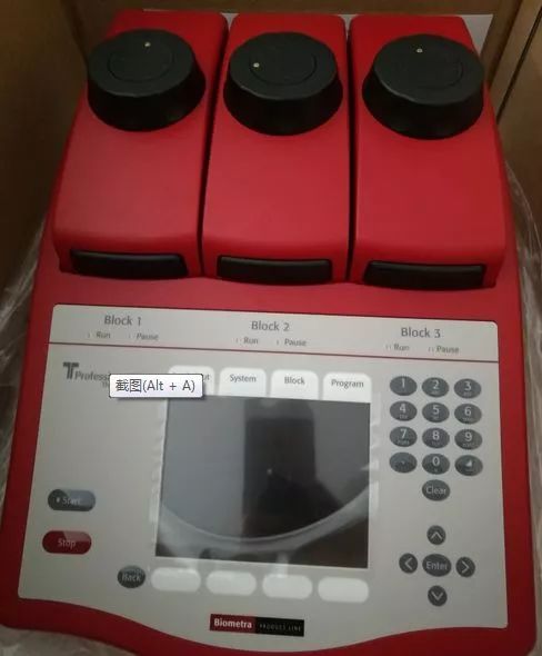 阿拉看宁波,阿拉看荷花