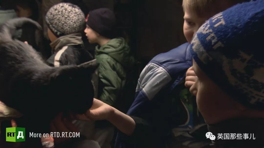 俄罗斯冬宫猫,俄罗斯冬宫里的猫