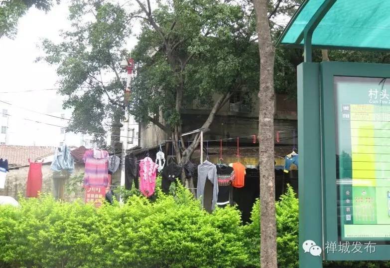 不文明行为曝光第317期,最新29项不文明行为