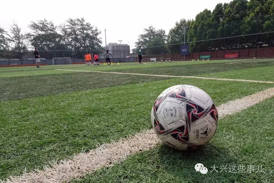 堪比淘宝大兴这个早市不赖地儿大货全免费停车