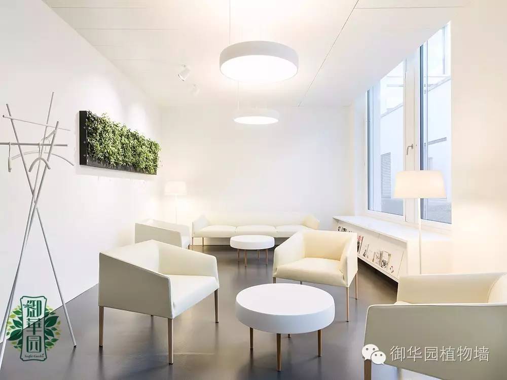 新鲜出炉┃十大唯美植物壁画排行榜,第一名竟然是......