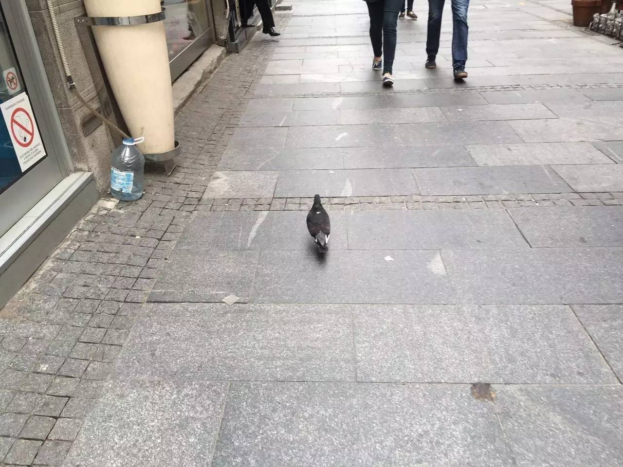 一座经历沧桑的城市,中国近代被战火摧毁的城市的影像