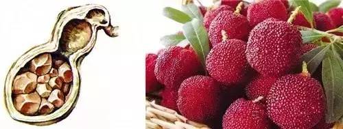 吃对了是补药吃错了是毒药,吃对了有益健康