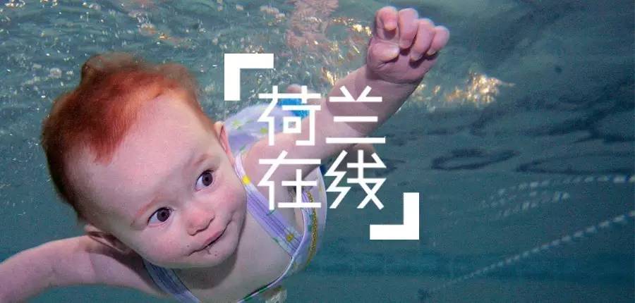 荷兰什么牌子奶粉最好,荷兰奶粉哪个牌子最好