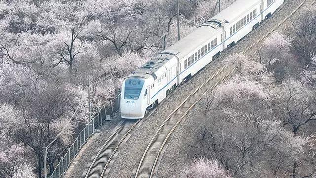 上调养老金最新政策,上调养老金政策