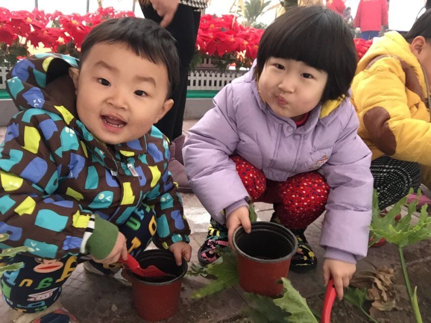 晚报亲子本周六再开蔬菜采摘喂小猪，小朋友抓紧报名啦