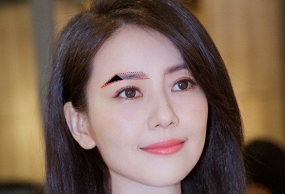 小金条画眉的简单方法,画眉其实很简单你一看就会