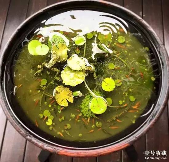 每日壹闻,考古发现世界最早茶叶