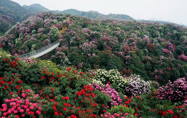 荣登纽约时报榜,贵州旅游必去top20