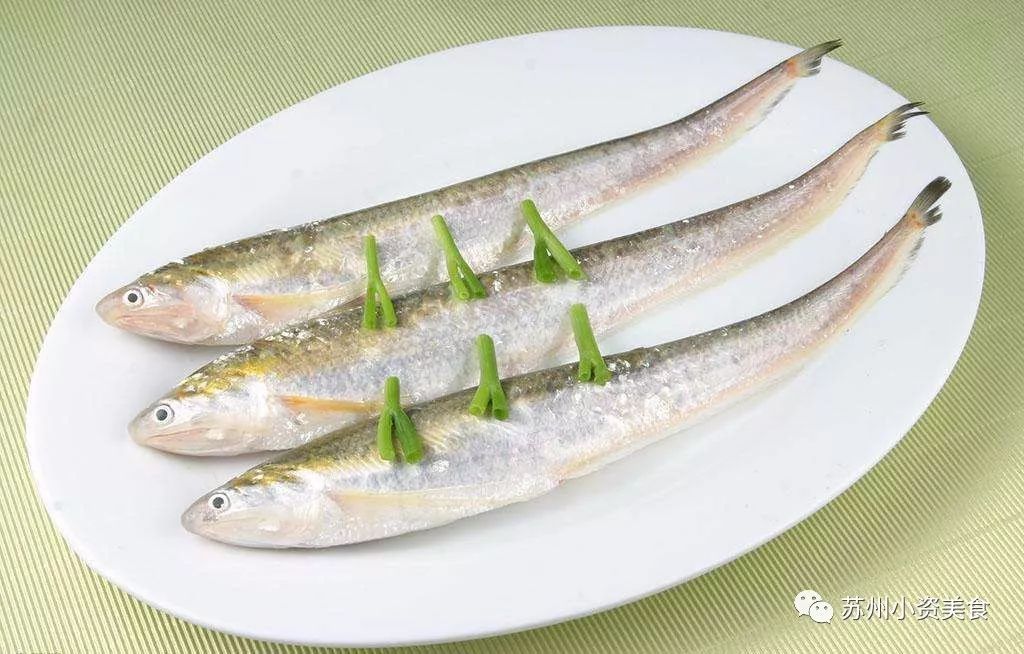 3月啦!不时不吃的苏州人又迎来了一波春天的美食,青团子、腌笃鲜、明前螺、马兰头……