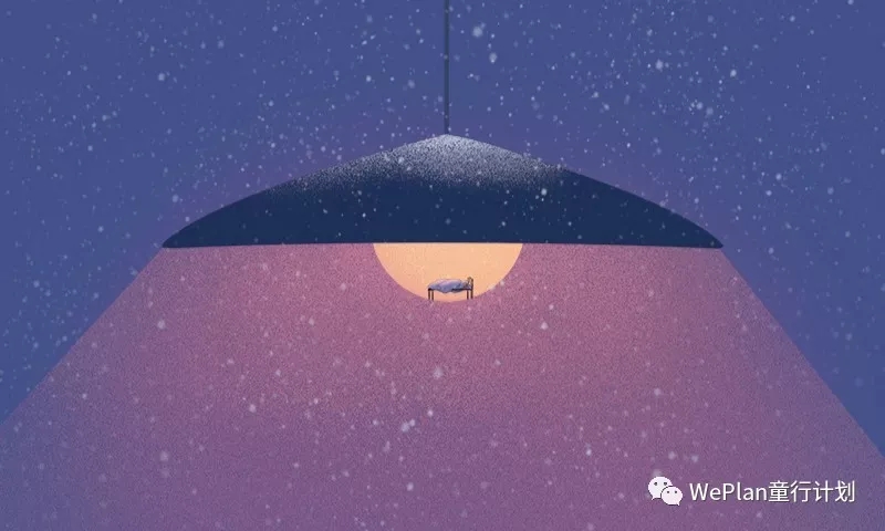 郝景芳的教育方法,郝景芳中国发展研究基金会