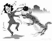 如果疯狗咬你一口你会咬回去吗,如果有疯狗向你冲来怎么办