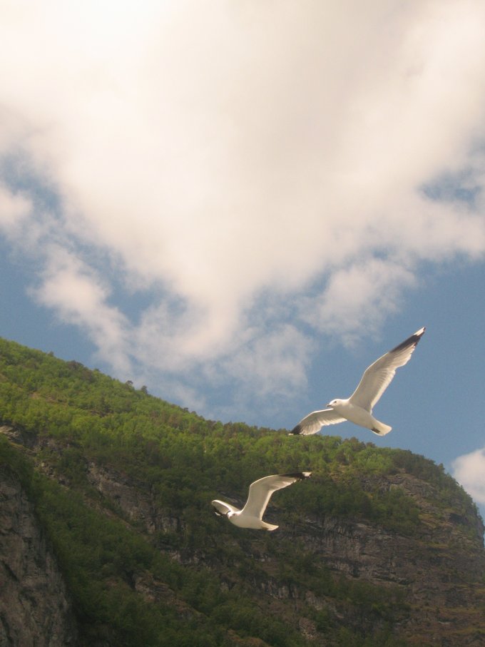 北欧四国丹、瑞、挪、芬，不是穷游的穷游（多图杀猫，字多慎入）