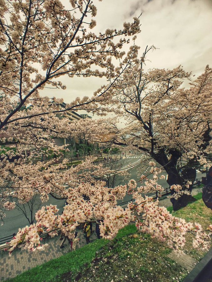 201410到201604的8次日本行