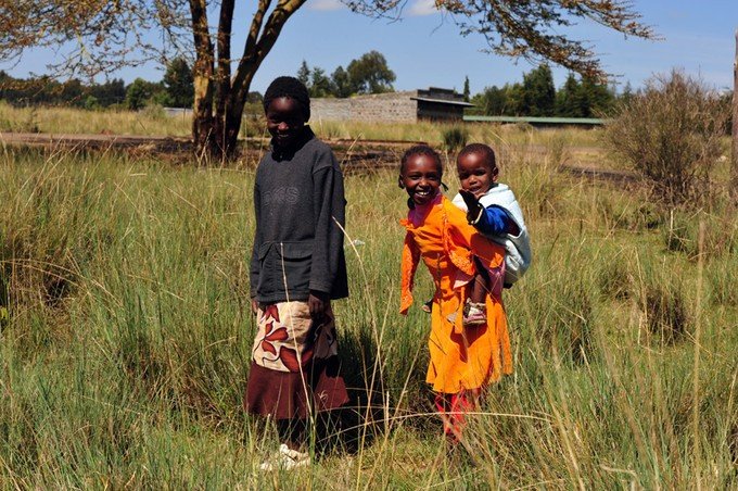 12天肯尼亚动物大迁徙自驾之旅,肯尼亚动物旅行