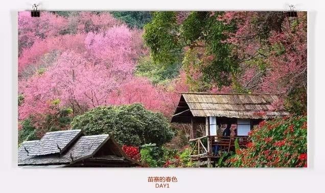 清迈住宿攻略清迈自由行,在清迈