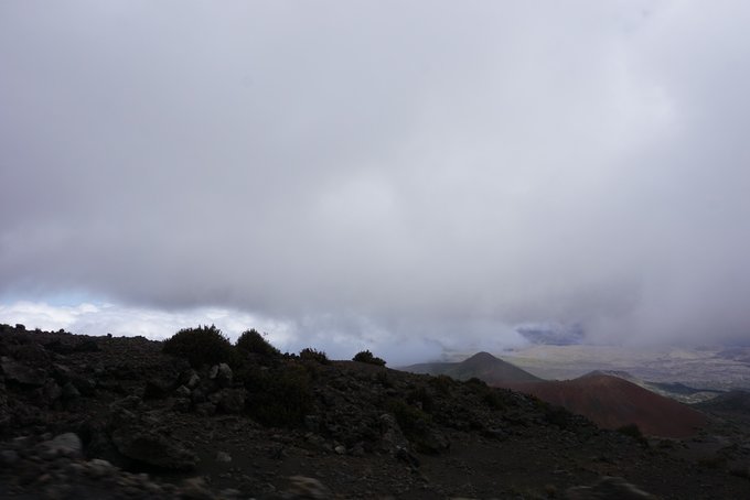 没有意外是哪句电影台词,夏威夷旅行说明