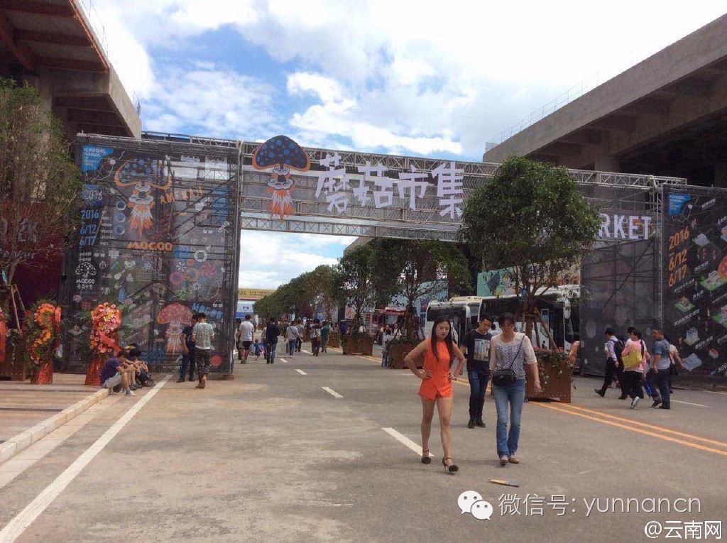 走过路过别错过好吃的美食,走过路过别错过好吃的东西