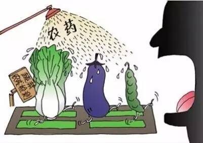 去除蔬果残留农药的方法有哪些,如何去除蔬菜的农药和重金属残留