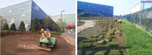 建迪士尼过程,迪士尼建造管理