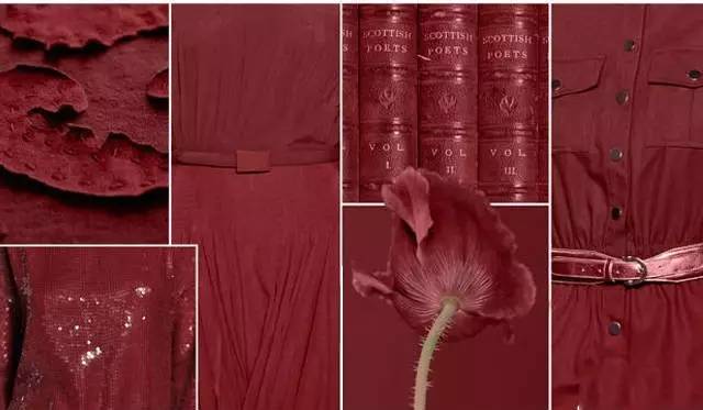 2017心动的瞬间,最近沉迷于美色无法自拔