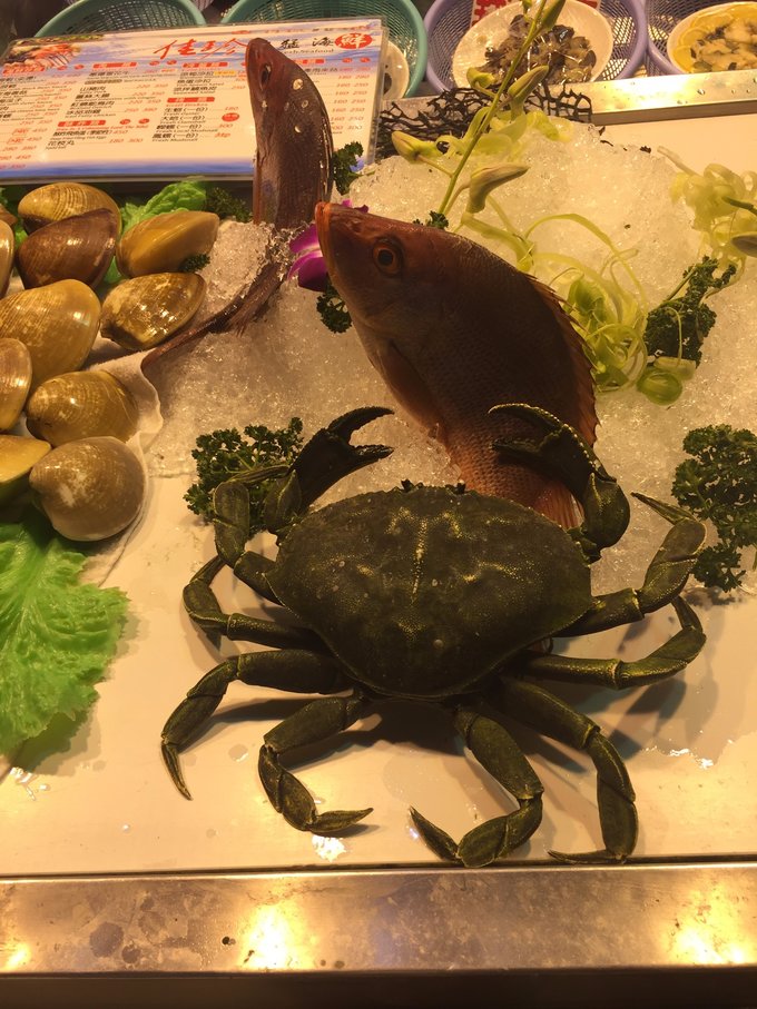 老爸追梦之旅,父亲的圆梦之旅