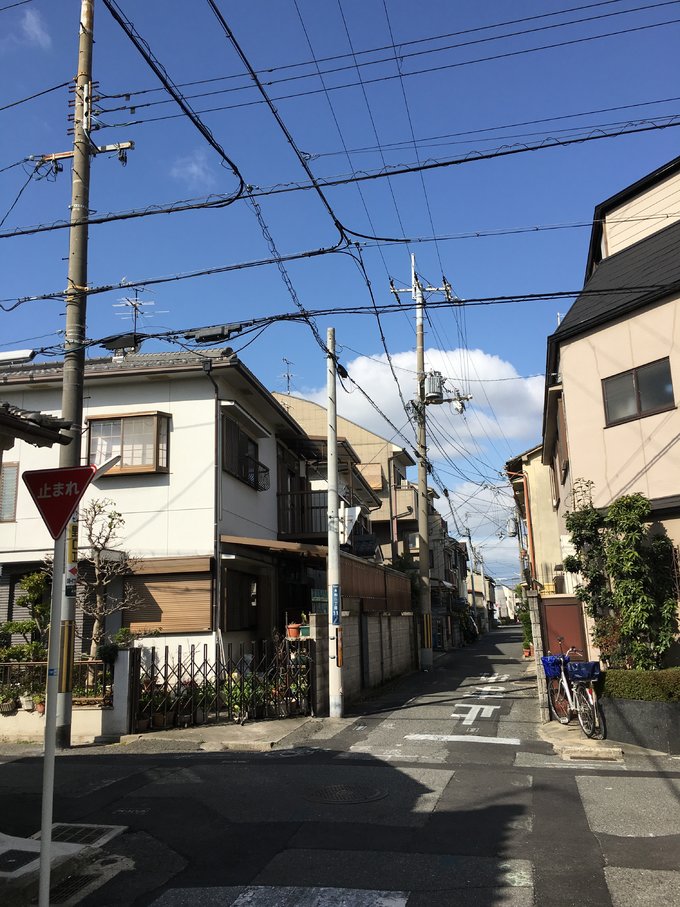 16年,关西(大阪,奈良,京都,宇治)樱花,甲子园