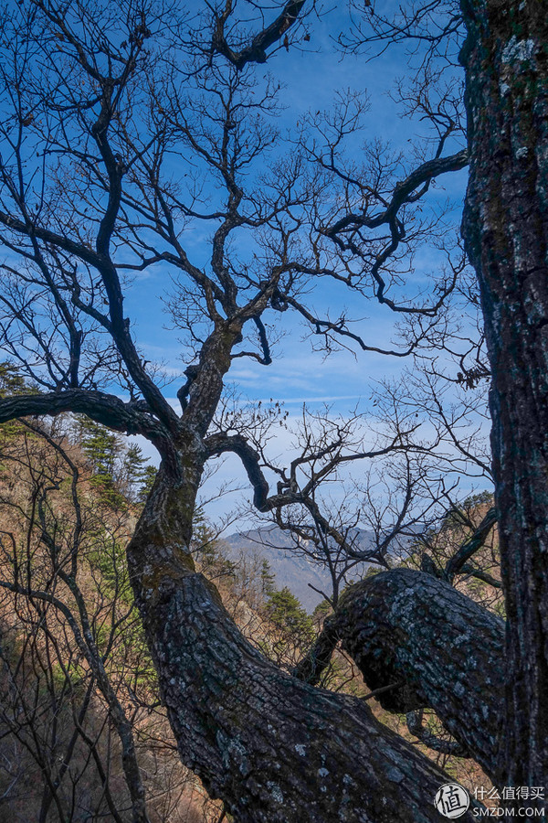 户外运动打底衣评测,icebreaker冲锋衣