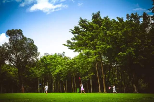 深圳及周边最值得爬的山,深圳有什么值得爬的山