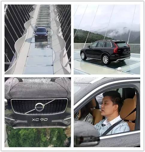 “治疗恐高症”一招致胜的办法?!