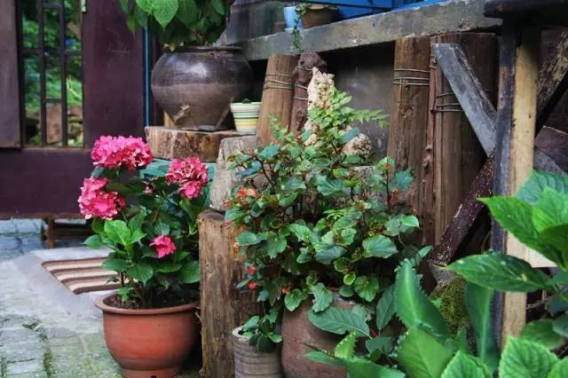 重庆喝茶打麻将的地方都有哪些,重庆喝茶的茶馆