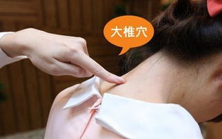 三伏贴可以治愈过敏性鼻炎吗,过敏性鼻炎三伏贴贴什么穴位