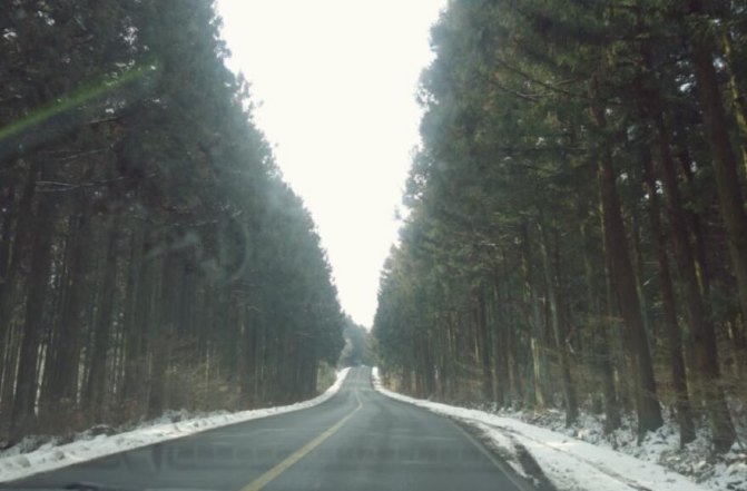 济州岛玩包车还是租车好,说走就走的韩国旅游