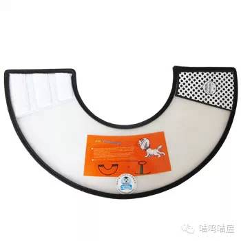 猫癣知识,猫咪得了猫癣适合用的药膏