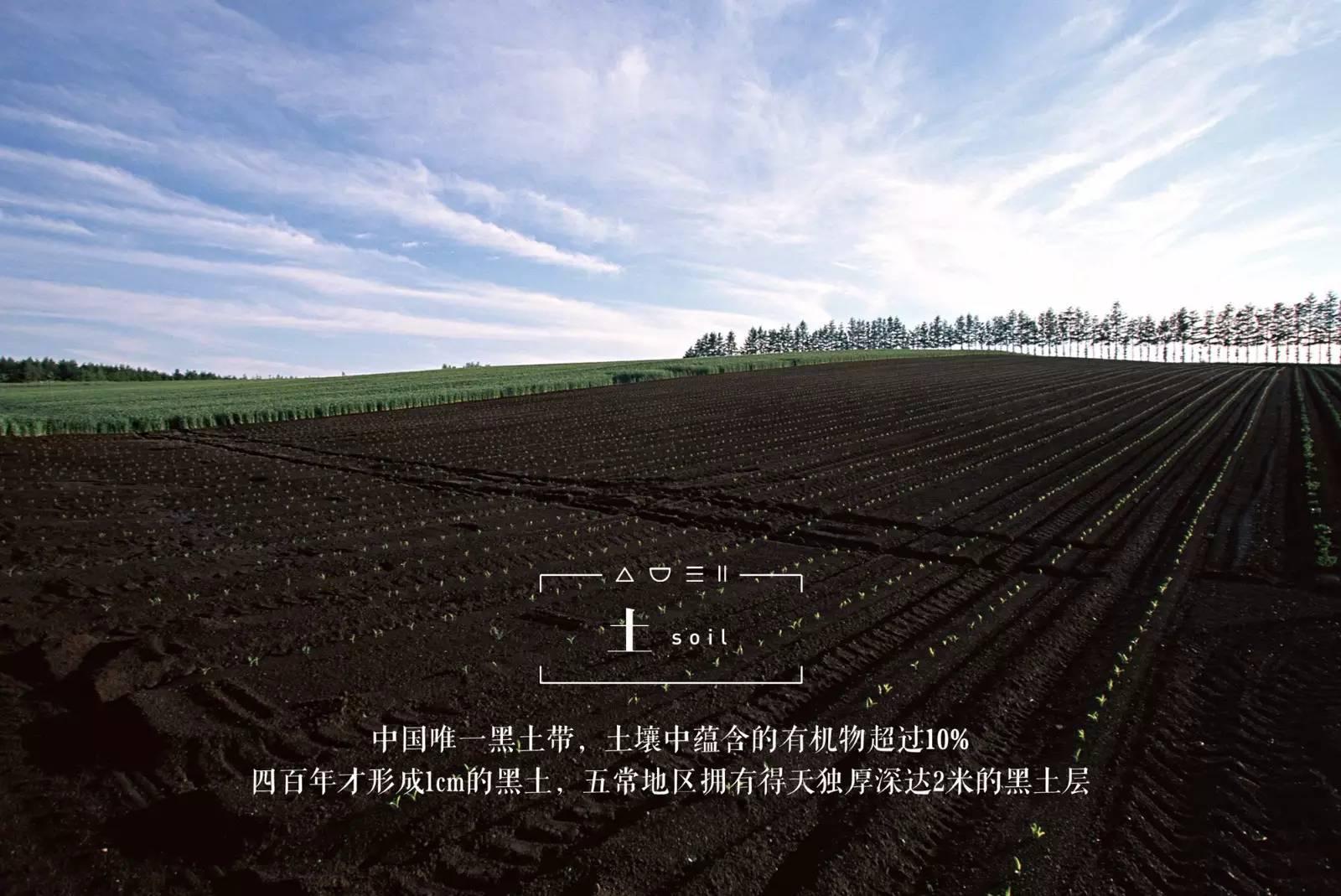 脚气病患者的福音,脚气病日本人